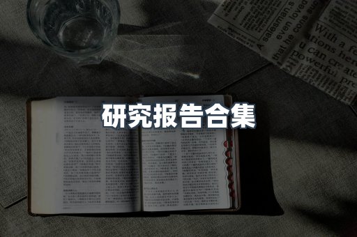 研究报告合集